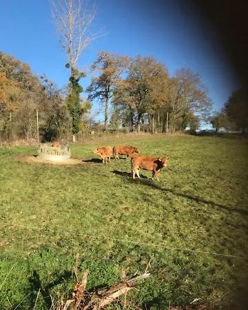 Ratatouille Bed & Breakfast