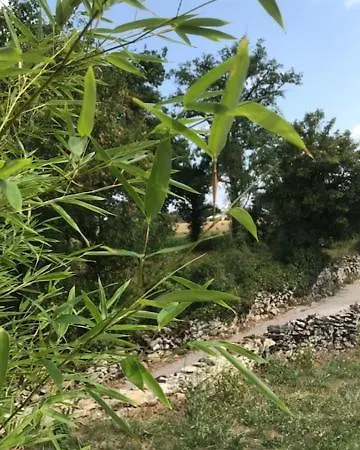 Ratatouille Mayrinhac-Lentour